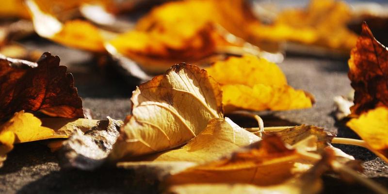 全球旅游30处必去景点推荐：开启你的天下旅游梦想之旅