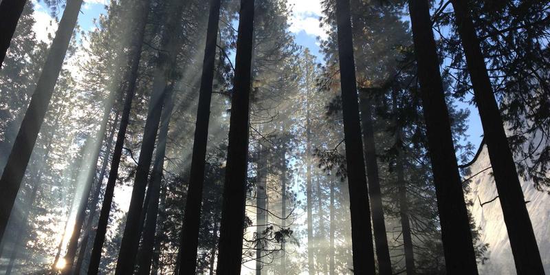 全球旅游63：解锁自由行的终极景点推荐与行程规划