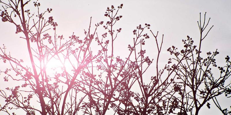 全球旅游7大必去景点推荐与深度攻略:开启你的环球探索之旅