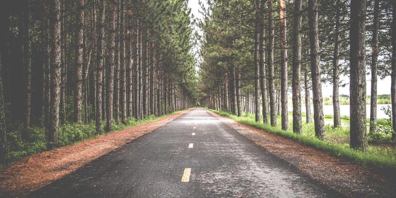 全球旅游99：解锁跨越九十九个目的地的终极旅游攻略