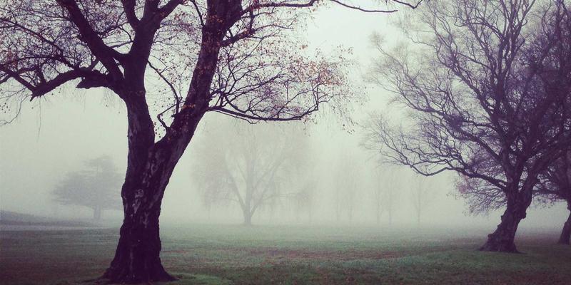 全球旅游交通接驳大全：从机场到市区的高效中转方案与旅行预订攻略