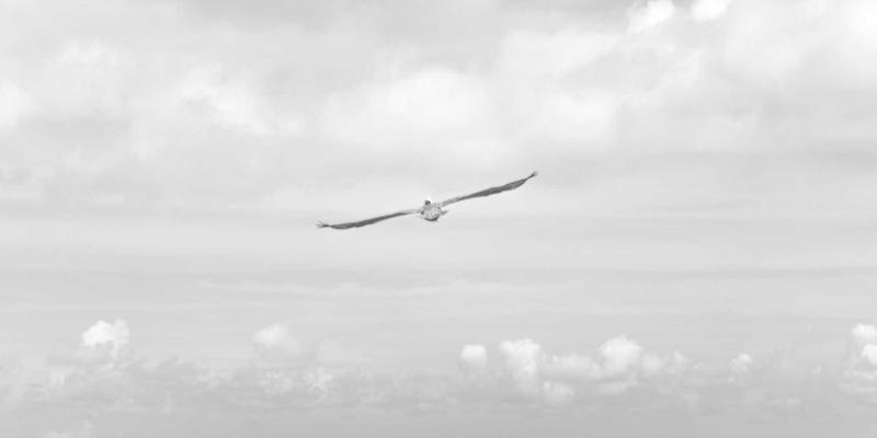 全球旅游摄影进阶指南：十大标志性景点独特机位与拍摄技巧全解析