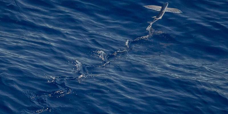 全球旅游新浪潮：从天下旅游到深度自由行的三大趋势