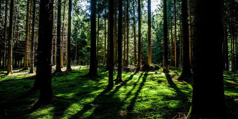 全球旅游新浪潮：智能旅行预订与深度攻略全解析