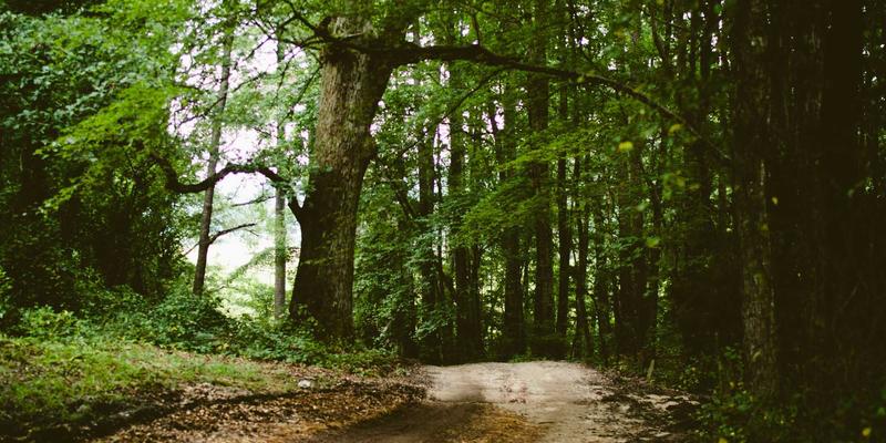 全球旅游新浪潮：自由行如何重塑天下旅游新格局