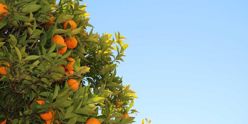 全球旅游网络连接指南：从eSIM到便携WiFi，保持畅通的终极方案 | 景点推荐与旅行预订全攻略