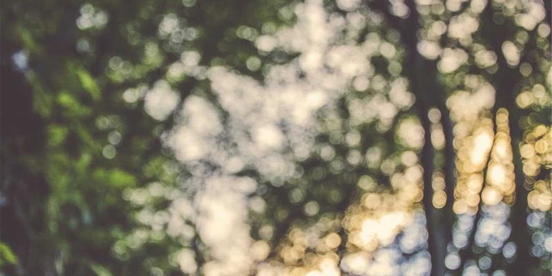 全球旅游美食地图：从街头小吃到米其林餐厅的终极自由行味蕾之旅