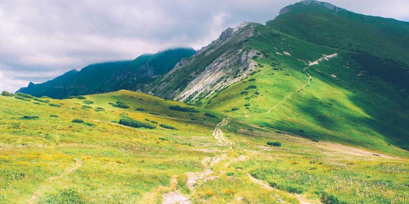 全球旅游语言障碍应对指南：从旅行预订到深度体验的实用解决方案