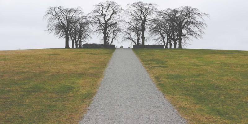 全球自由行网络通讯全攻略：国际漫游、本地SIM卡与便携WiFi深度对比与景点推荐