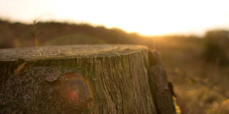 天下旅游新篇章:2024全球旅游前景展望与智慧出行攻略