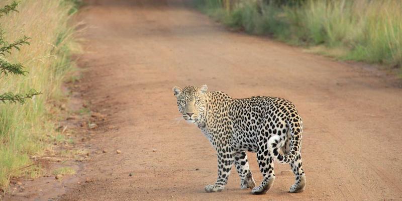 天下旅游新视野：全球31个不可错过的景点与深度攻略