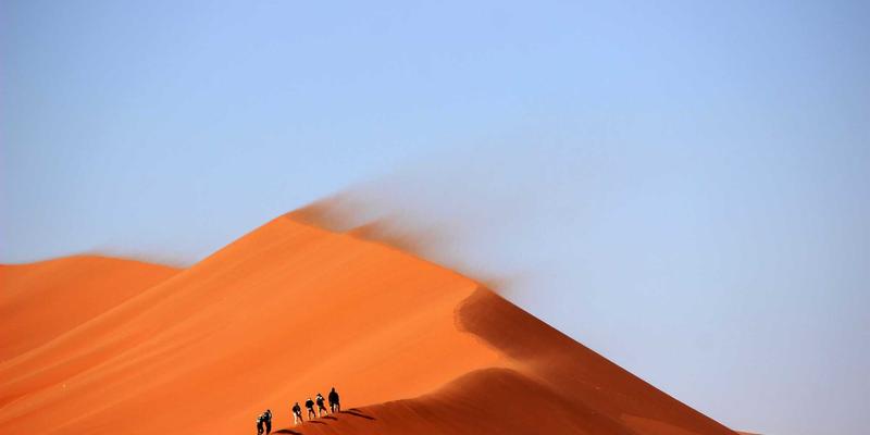 天下旅游新趋势：全球亲子游学规划，名校参观与自然教育的完美融合