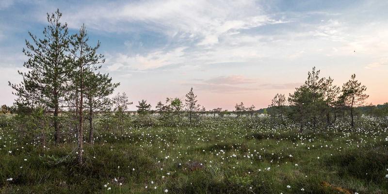 天下旅游自由行攻略：全球旅游安全手册，从风险评估到紧急应对